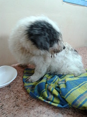 1920 X 2560 248.8 Kb 1920 X 1440 540.0 Kb 1920 X 2560 250.8 Kb 1920 X 2560 258.8 Kb   ''  