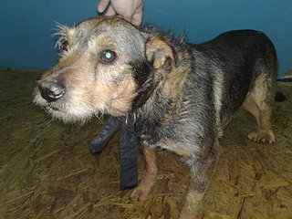 1920 X 1440 521.3 Kb    .