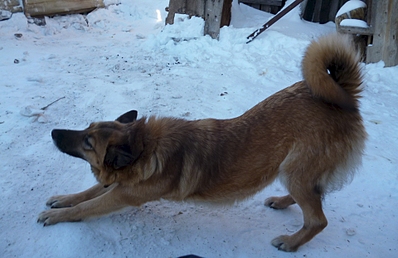 1920 X 1242 122.2 Kb    