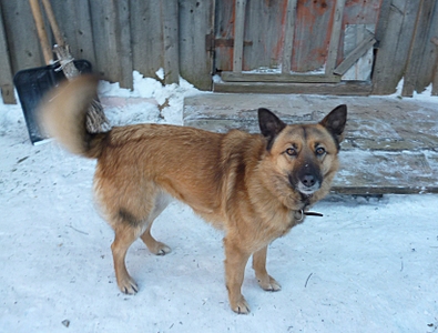 1644 X 1247 128.1 Kb 1920 X 1242 122.2 Kb    