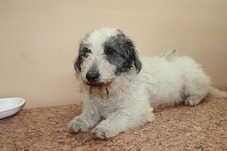 1920 X 1280 388.8 Kb   ''  