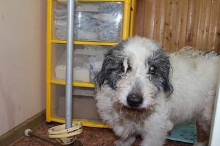 1920 X 1280 423.7 Kb   ''  