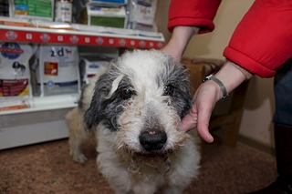 1920 X 1280 366.4 Kb   ''  