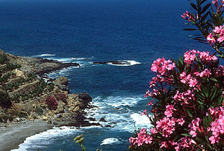 400 X 269  36.3 Kb 640 X 429  55.9 Kb 655-303 |   | www.akvarel18.ru |   !