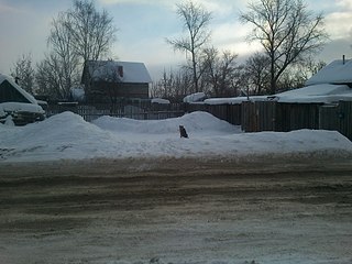 1920 X 1440 522.6 Kb 1920 X 1440 373.7 Kb sos!