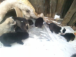 1920 X 1440 410.1 Kb 1920 X 1440 373.7 Kb 1920 X 1440 379.8 Kb 1920 X 1440 287.8 Kb sos!