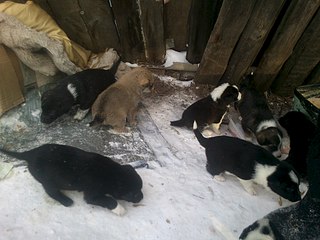 1920 X 1440 380.5 Kb    