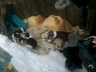 1920 X 1440 373.7 Kb 1920 X 1440 380.5 Kb    