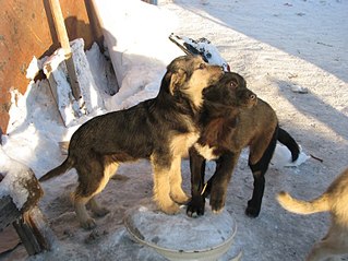 807 X 605 106.9 Kb 807 X 605 114.0 Kb   