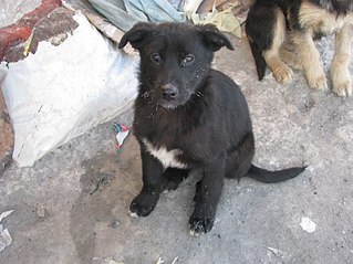 807 X 605 104.7 Kb 807 X 605 106.9 Kb 807 X 605 114.0 Kb   