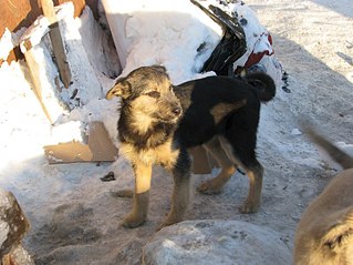 807 X 605 101.1 Kb 807 X 605 104.7 Kb 807 X 605 106.9 Kb 807 X 605 114.0 Kb   