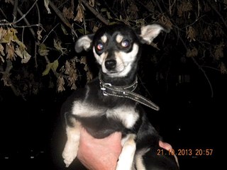 604 X 453  46.5 Kb  !