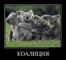 700 X 630 60.1 Kb    (12.03.2013)