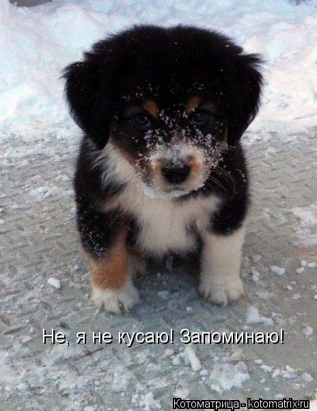 464 x 600 582 X 700  53.1 Kb Улыбнемся?