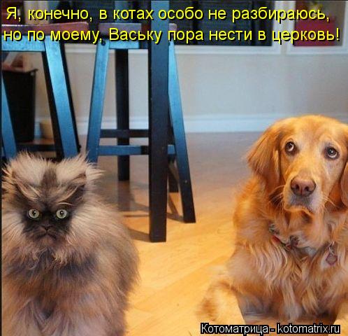 498 x 480 464 x 600 582 X 700  53.1 Kb Улыбнемся?