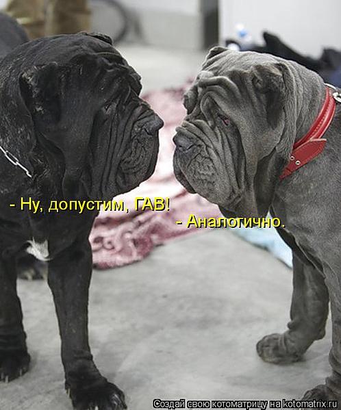 582 X 700  53.1 Kb Улыбнемся?