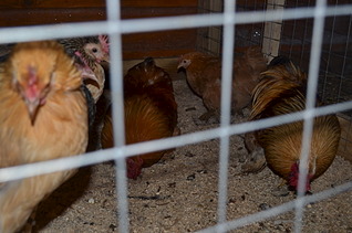 1920 X 1271 496.0 Kb      