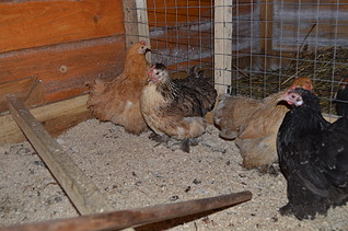 1920 X 1271 652.8 Kb      