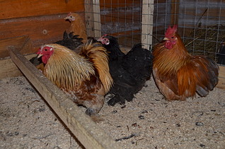 1920 X 1271 701.9 Kb 1920 X 1271 665.1 Kb 1920 X 1271 652.8 Kb      