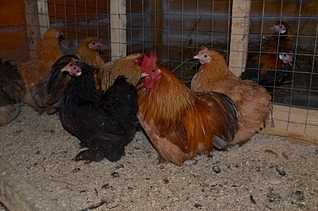 1920 X 1271 575.2 Kb 1920 X 1271 670.9 Kb      