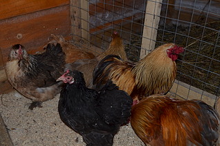 1920 X 1271 600.9 Kb 1920 X 1271 575.2 Kb 1920 X 1271 670.9 Kb      