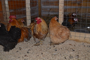 1920 X 1271 700.7 Kb      