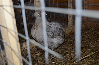 1920 X 1271 455.4 Kb 1920 X 1271 700.7 Kb      