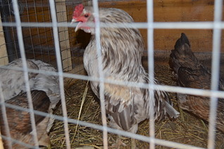 1920 X 1271 468.9 Kb 1920 X 1271 455.4 Kb 1920 X 1271 700.7 Kb      