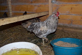 1920 X 1271 662.1 Kb      