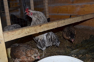 1920 X 1271 528.1 Kb 1920 X 1271 662.1 Kb      