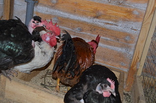 1920 X 1271 564.6 Kb      