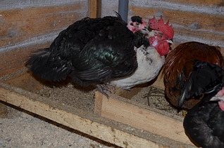 1920 X 1271 601.1 Kb 1920 X 1271 564.6 Kb      