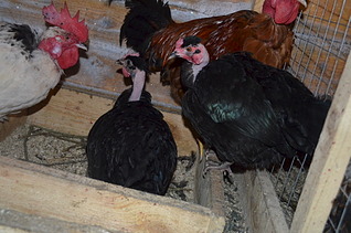 1920 X 1271 586.6 Kb 1920 X 1271 601.1 Kb 1920 X 1271 564.6 Kb      