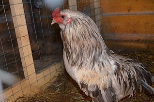 1920 X 1271 584.5 Kb      