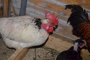 1920 X 1271 596.0 Kb 1920 X 1271 584.5 Kb      