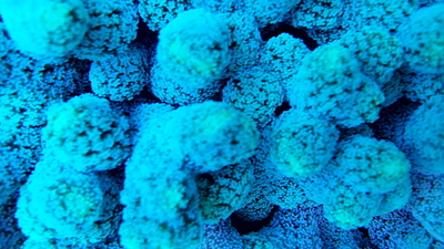 1920 X 1080 874.6 Kb 1920 X 1080 261.3 Kb Глубокое синее море.