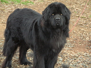 1920 X 1436 795.9 Kb     c?