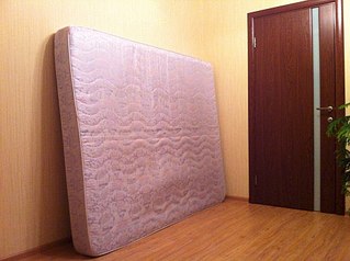 960 X 716 152.8 Kb    1000