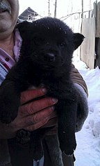 363 X 604  39.7 Kb 363 X 604  39.1 Kb    