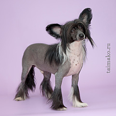 1000 X 1000 510.3 Kb     