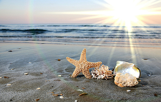 596 X 380 234.7 Kb 800 X 600 142.0 Kb 655-303 |   | www.akvarel18.ru |   !