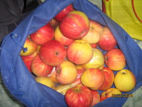 1600 X 1200 584.2 Kb   