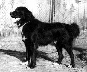 551 X 454  35.6 Kb     c?