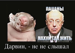 760 X 538 49.5 Kb Александру Волкову (38 баллов) <Группа смерти>