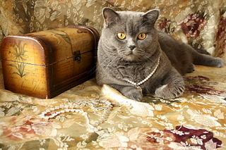 1920 X 1280 726.3 Kb   10 