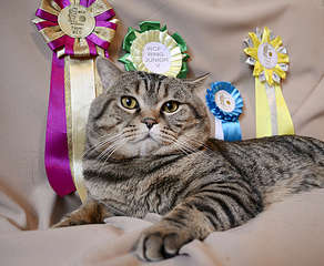 1920 X 1573 369.8 Kb   10 