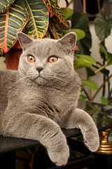 1920 X 2880 420.1 Kb   10 