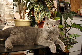 1920 X 1280 690.4 Kb   10 