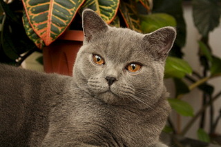 1920 X 1280 663.6 Kb   10 