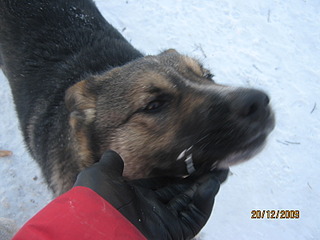 1600 X 1200 375.8 Kb 1600 X 1200 389.2 Kb 